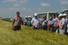 Field Day in Kursk Oblast